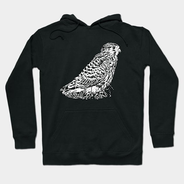 Kestrel Hoodie by Guardi